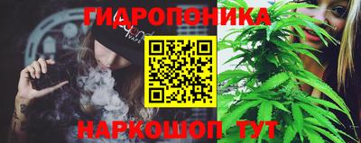 PSILOCYBIN Малоярославец