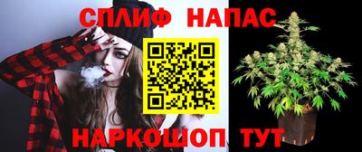прущие грибы Малгобек