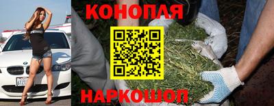 PSILOCYBIN Малоярославец