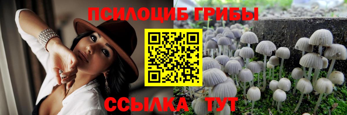 Галлюциногенные грибы MAGIC MUSHROOMS  Вход с VPN  Борисоглебск 