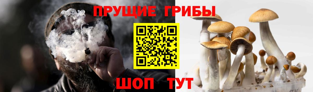 Псилоцибиновые грибы прущие грибы Борисоглебск